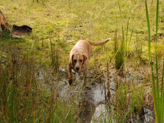 2009-09-20_ntb_8663