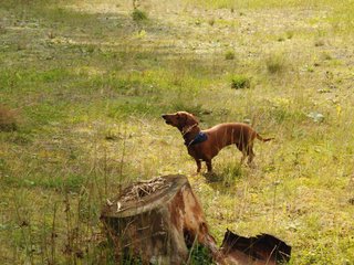 2009-09-20_ntb_8667
