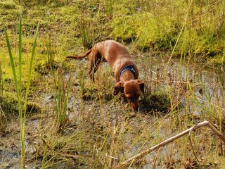 2009-09-20_ntb_8668