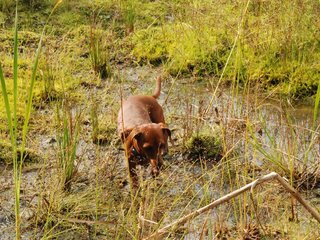 2009-09-20_ntb_8669