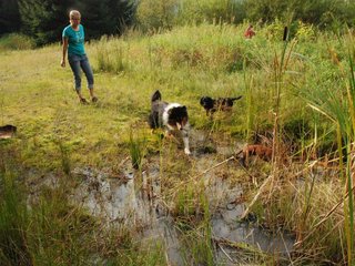2009-09-20_ntb_8671