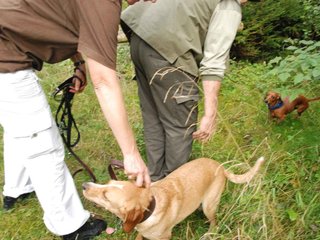 2009-09-20_ntb_8674