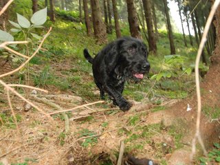 2009-09-20_ntb_8681