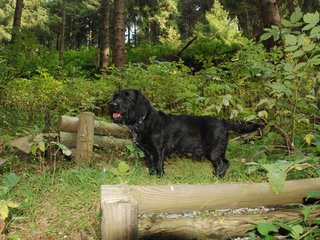 2009-09-20_ntb_8683