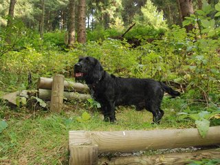 2009-09-20_ntb_8684