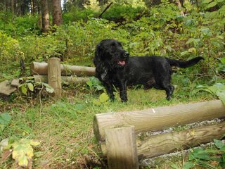 2009-09-20_ntb_8685