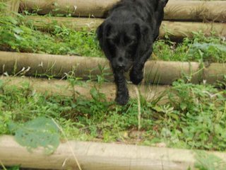 2009-09-20_ntb_8691