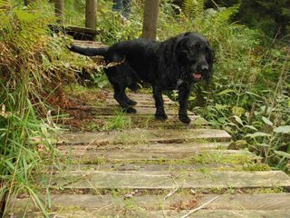2009-09-20_ntb_8696