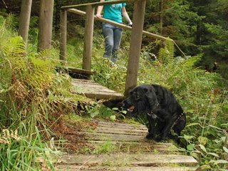 2009-09-20_ntb_8697