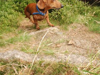 2009-09-20_ntb_8699