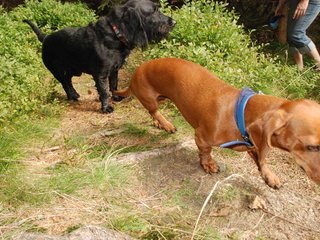 2009-09-20_ntb_8701