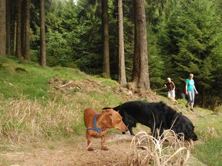 2009-09-20_ntb_8703