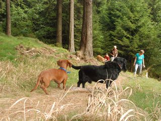 2009-09-20_ntb_8704