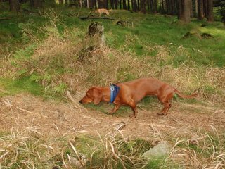 2009-09-20_ntb_8709