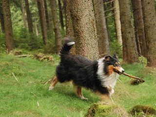 2009-09-20_ntb_8712