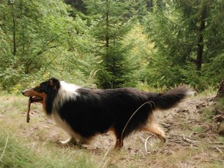 2009-09-20_ntb_8713