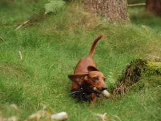 2009-09-20_ntb_8722