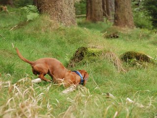 2009-09-20_ntb_8723