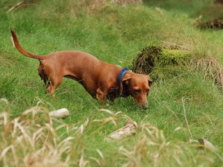 2009-09-20_ntb_8724