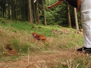 2009-09-20_ntb_8726