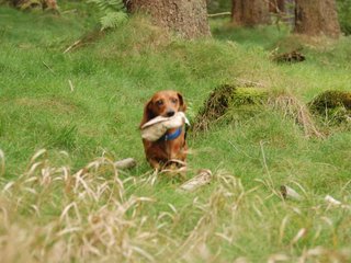 2009-09-20_ntb_8727
