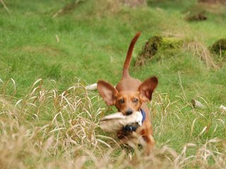 2009-09-20_ntb_8728