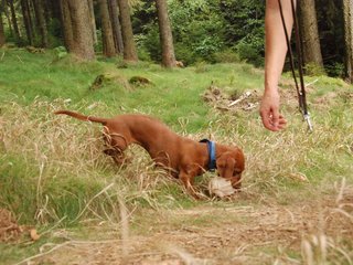 2009-09-20_ntb_8730