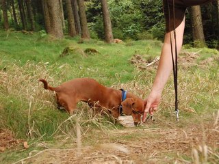 2009-09-20_ntb_8731