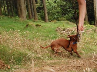 2009-09-20_ntb_8733