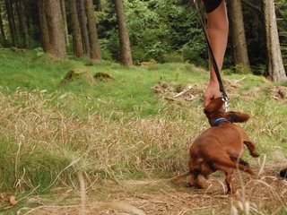 2009-09-20_ntb_8734
