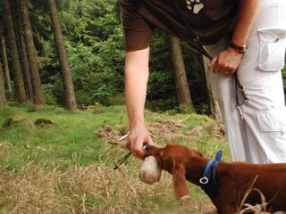 2009-09-20_ntb_8737