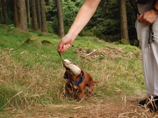 2009-09-20_ntb_8738