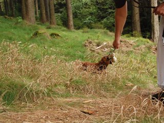 2009-09-20_ntb_8740