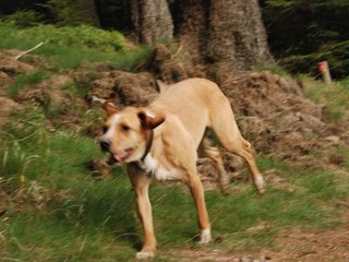 2009-09-20_ntb_8743