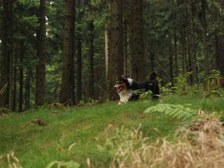 2009-09-20_ntb_8744