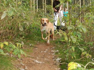 2009-09-20_ntb_8753