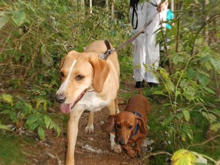 2009-09-20_ntb_8755