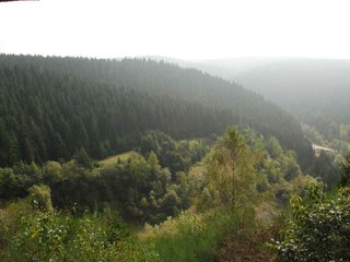 2009-09-20_ntb_8762