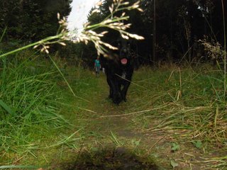 2009-09-20_ntb_8763