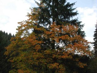2009-09-20_ntb_8782
