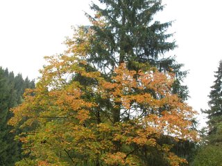 2009-09-20_ntb_8785