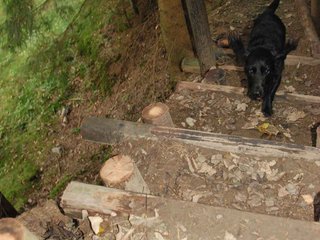 2009-09-20_ntb_8786