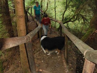 2009-09-20_ntb_8787