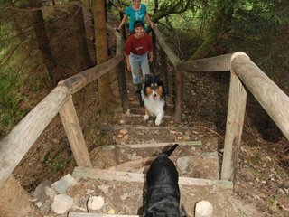 2009-09-20_ntb_8788