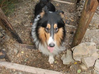 2009-09-20_ntb_8791