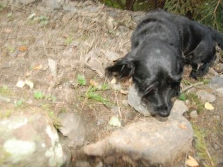 2009-09-20_ntb_8809