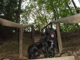 2009-09-20_ntb_8811