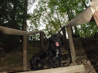 2009-09-20_ntb_8812