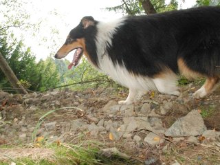 2009-09-20_ntb_8816