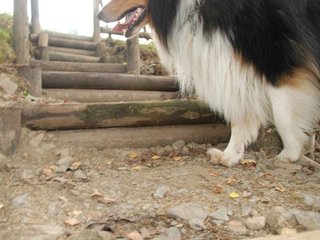 2009-09-20_ntb_8817